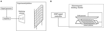 Combined effects of EMP and RF field on emotional behavior in mice